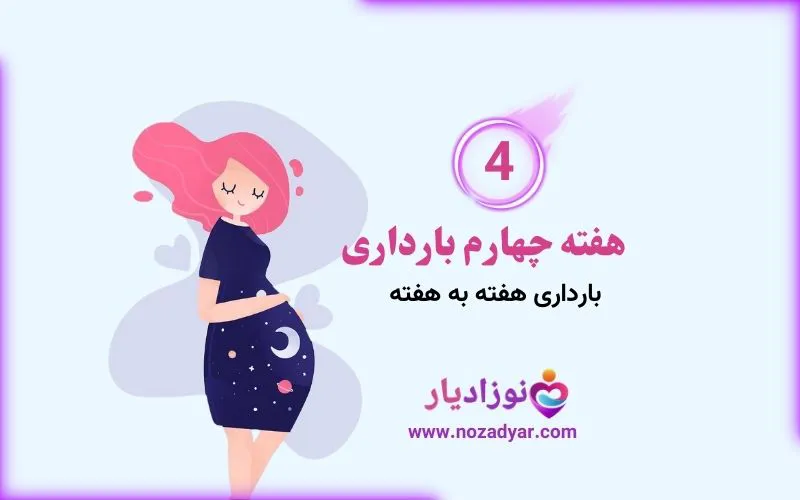 هفته چهارم بارداری